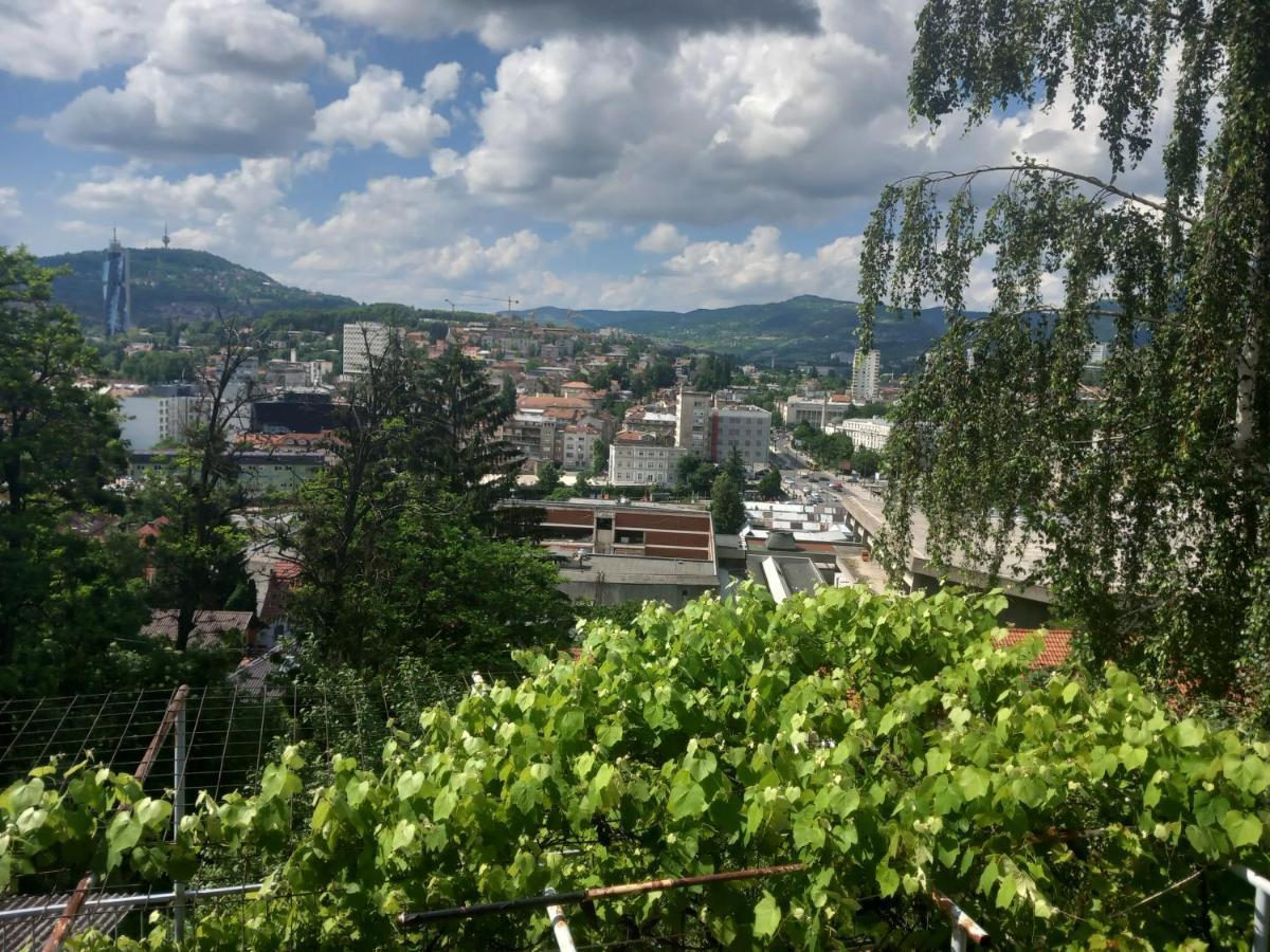 Apartmans Adi SJJ Exteriör bild